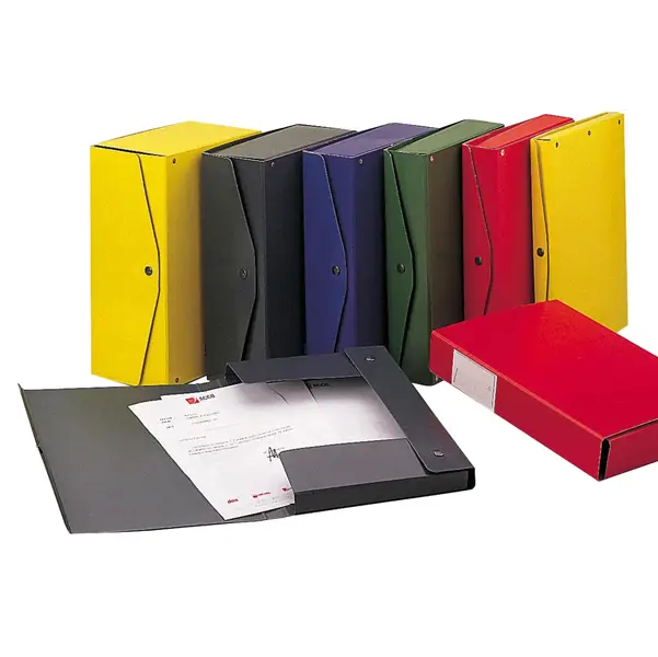 5x Scatola archivio PROJECT 10 verde 25x35cm dorso 10cm Esselte