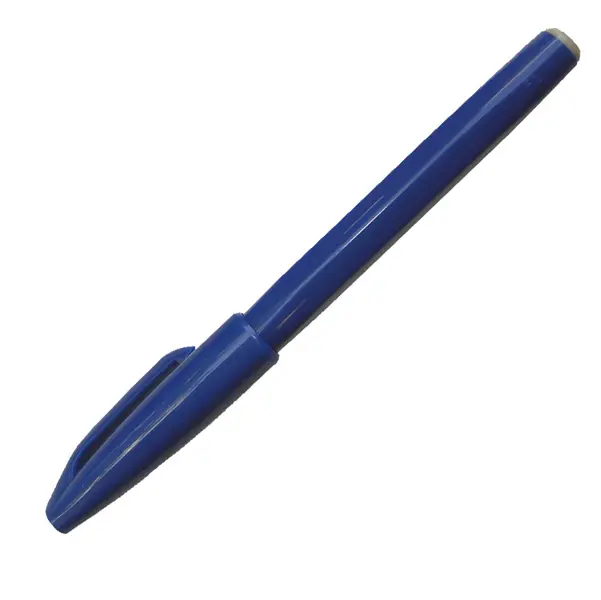12x PENNARELLO SIGNPEN S520 BLU PENTEL