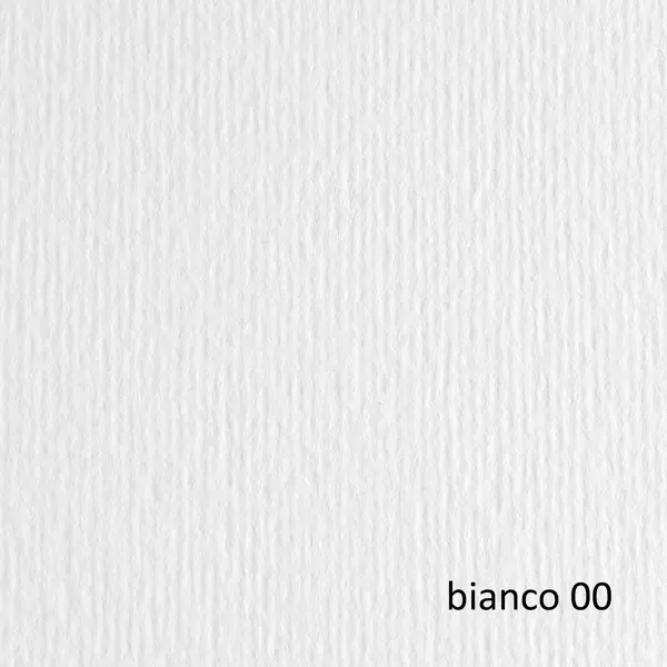 1x BLISTER 10FG CARTONCINO 70X100 220GR BIANCO 100 FABRIANO ELLE ERRE
