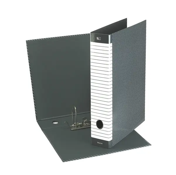 1x Registratore DELSO LINE G12 dorso 5cm f.to commerciale ESSELTE