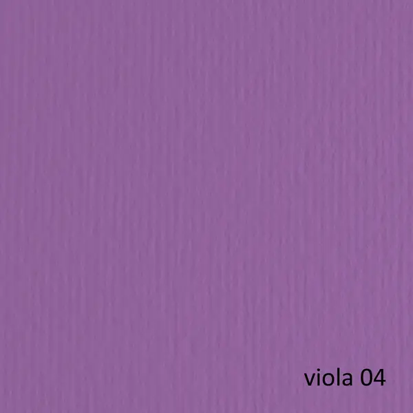 1x BLISTER 20FG CARTONCINO 50X70 220GR VIOLA 104 FABRIANO ELLE ERRE