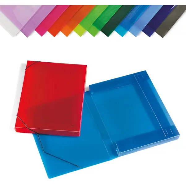 12x CARTELLA PPL C/ELASTICO TRASPARENTE ASSORTITI 355X265MM DORSO 30