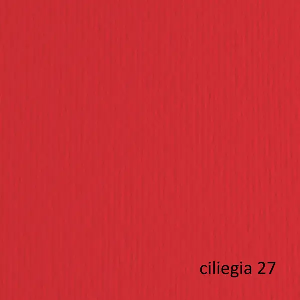 1x BLISTER 10FG CARTONCINO 70X100 220GR CILIEGIA 127 FABRIANO ELLE ERRE