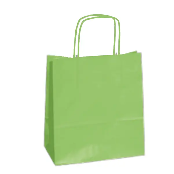 1x 25 SHOPPERS CARTA KRAFT 22x10x29cm TWISTED verde mela
