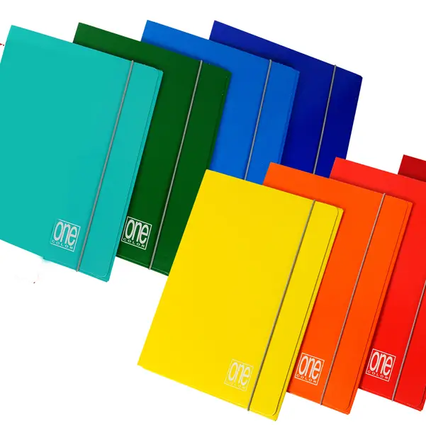 10x CARTELLA 3L C/ELASTICO 17x25cm ONE COLOR 2200 BLASETTI