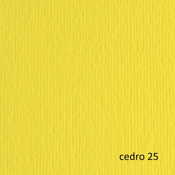 1x BLISTER 20FG CARTONCINO 50X70 220GR CEDRO 25 FABRIANO ELLE ERRE