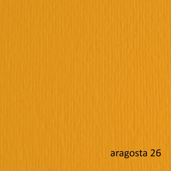 1x BLISTER 20FG CARTONCINO 50X70 220GR ARAGOSTA 26 FABRIANO ELLE ERRE