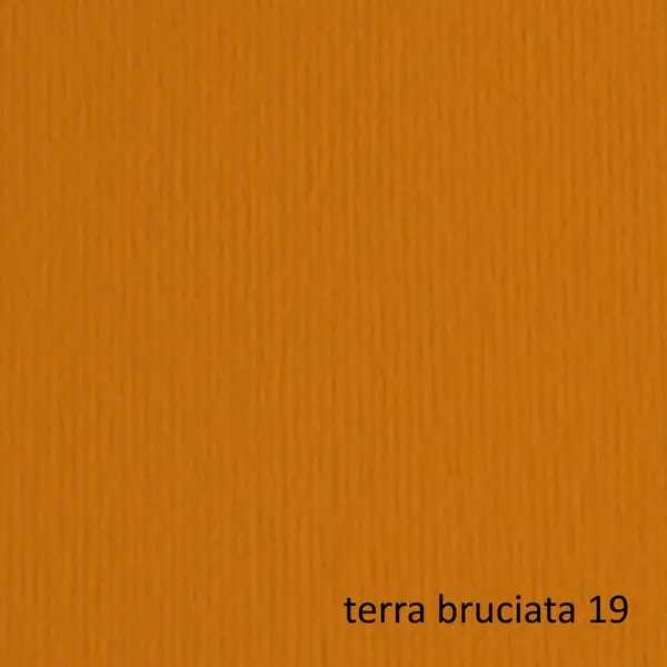 1x BLISTER 10FG CARTONCINO 70X100 220GR TERRA BRUCIATA 119 FABRIANO ELLE ERRE