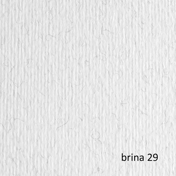 1x BLISTER 10FG CARTONCINO 70X100 220GR BRINA 129 FABRIANO ELLE ERRE