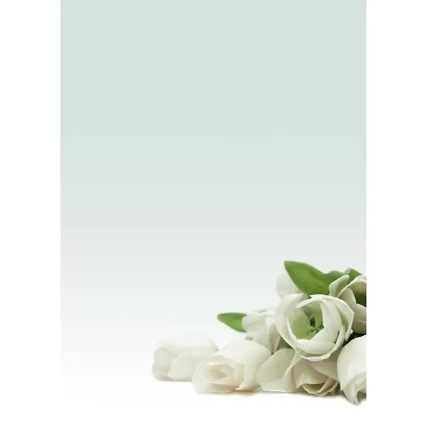 1x CARTA CON STAMPA "ROSA BIANCA'" A4 90GR 20FG DECADRY