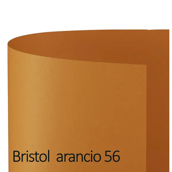 1x Conf.25 cartoncino Bristol Color 200gr 50x70cm arancio 56 Favini