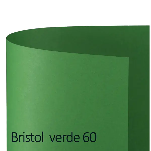 1x Conf.10 cartoncino Bristol Color 200gr 100x70cm verde 60 Favini