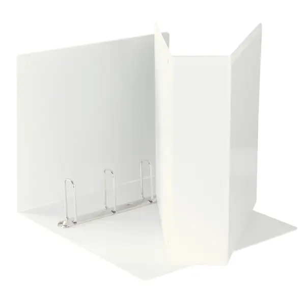 1x Raccoglitore DISPLAY MAXI 22x30cm 4Q H65mm bianco personalizzabile ESSELTE