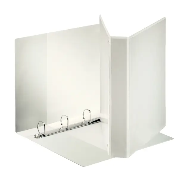1x Raccoglitore DISPLAY MAXI 22x30cm 4D H30mm bianco personalizzabile ESSELTE