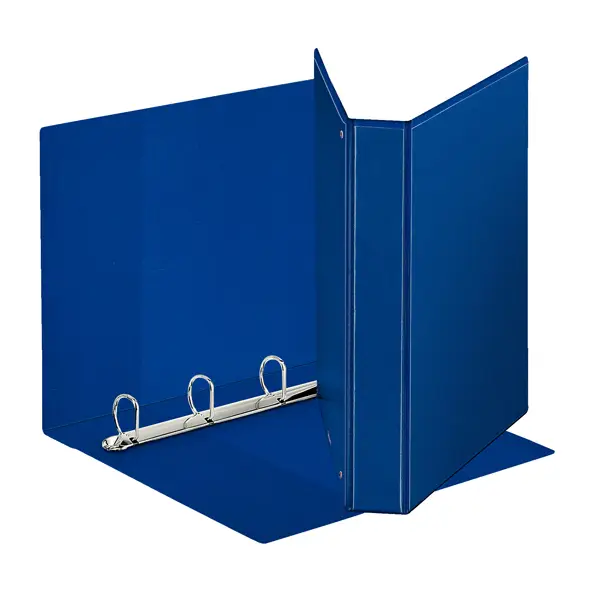 1x Raccoglitore DISPLAY MAXI 22x30cm 4D H30mm blu personalizzabile ESSELTE