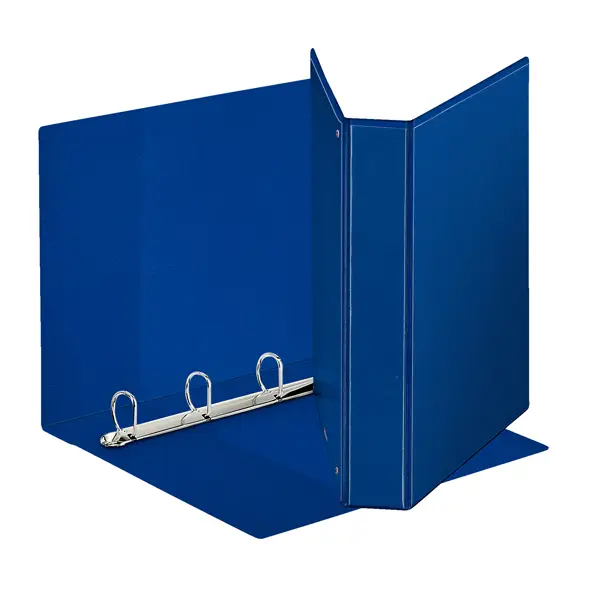 1x Raccoglitore DISPLAY MAXI 22x30cm 4D H40mm blu personalizzabile ESSELTE