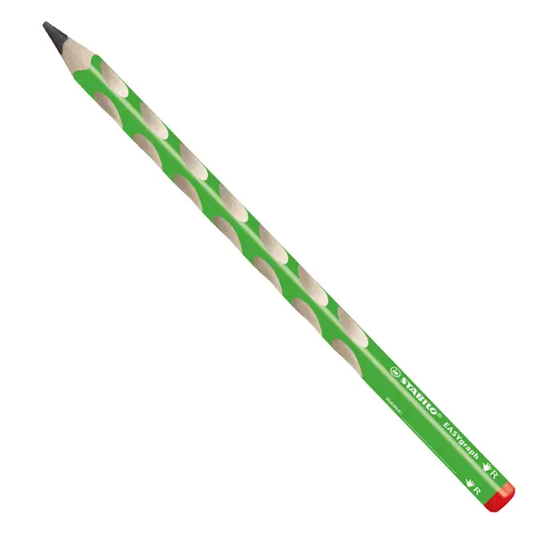 1x Astuccio 12 matite grafite EasyGraph HB per destromani fusto verde Stabilo