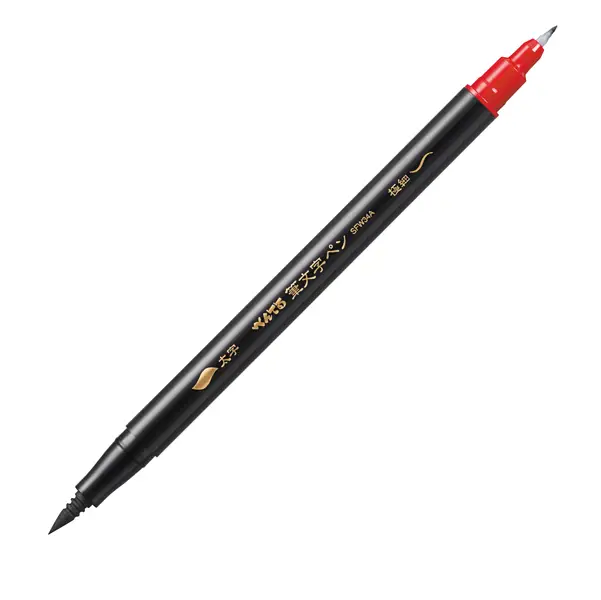 10x Penna a doppia punta per disegnare e illustrare inchiostro nero Pentel