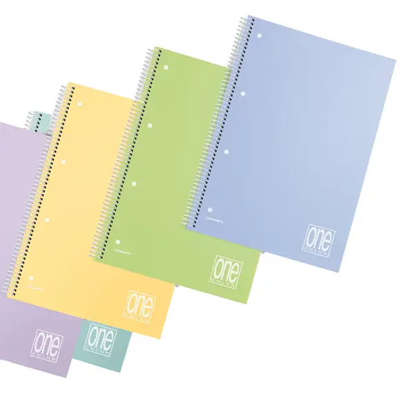 6x Maxiquaderno spiralato c/fori PPL A4 Pastel 1R 80gr 80fg ONE COLOR BLASETTI