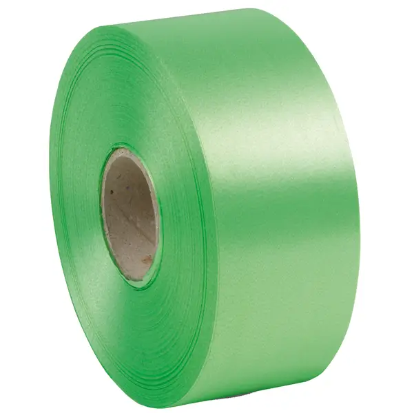 1x Nastro liscio 6800 50mmx100mt colore verde chiaro 10 Brizzolari