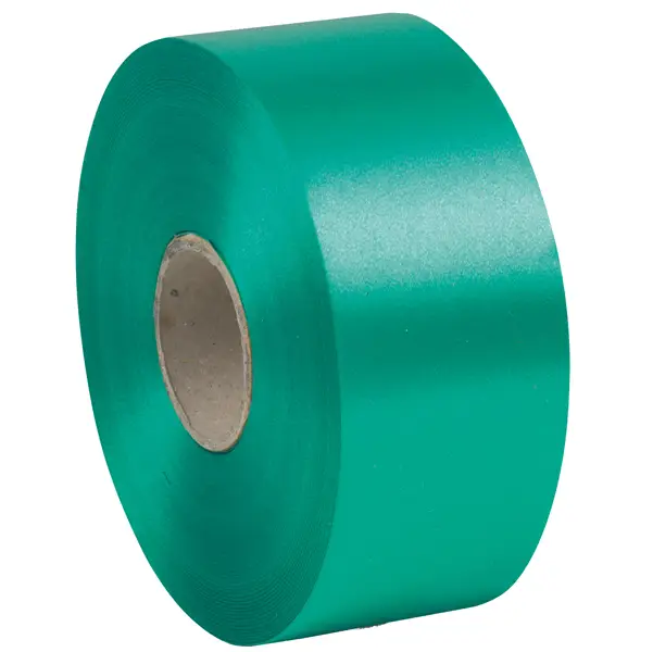 1x Nastro liscio 6800 50mmx100mt colore verde bandiera 09 Brizzolari