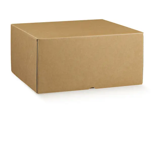 2x Scatola box per gastronomia d'asporto linea Marmotta 30x40x19,5cm avana