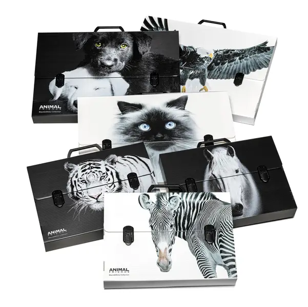 1x Valigetta polionda Animal Friends 28x38 dorso 5cm fantasie assortite Colorosa