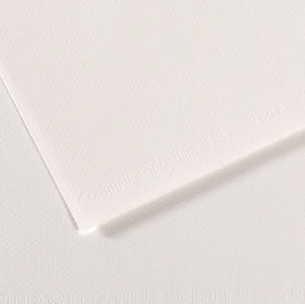 25x Foglio MI-TEINTES A4 cm 160 gr. 335 bianco