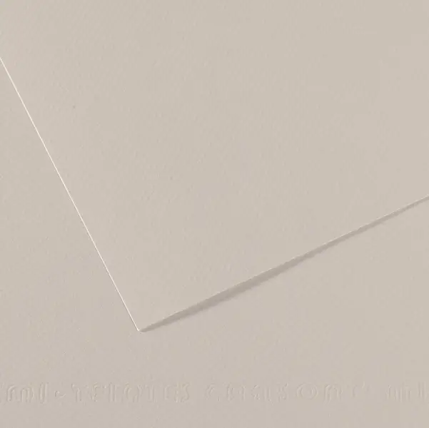 25x Foglio MI-TEINTES A4 cm 160 gr. 120 grigio perla