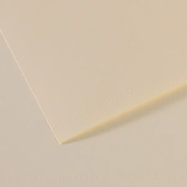 25x Foglio MI-TEINTES A4 cm 160 gr. 110 giglio