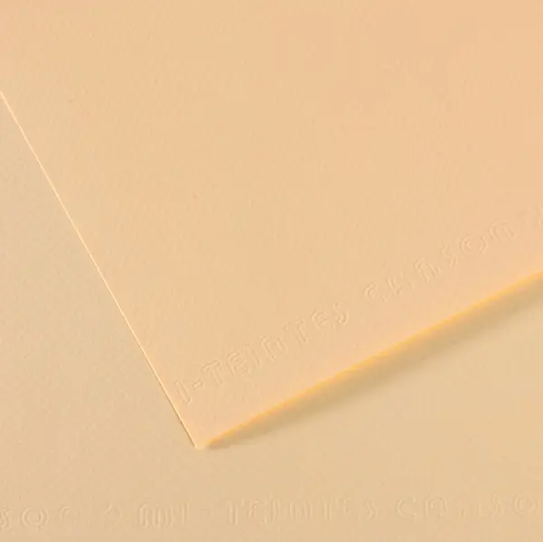25x Foglio MI-TEINTES A4 cm 160 gr. 111 avorio