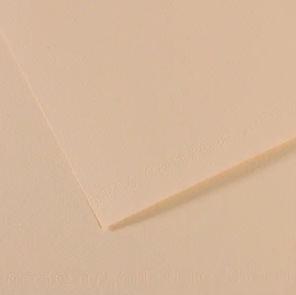 25x Foglio MI-TEINTES A4 cm 160 gr. 112 conchiglia