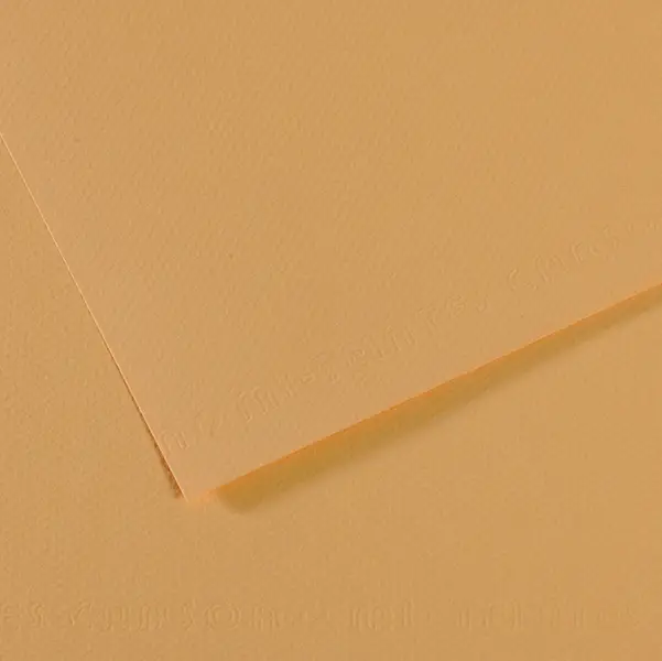 25x Foglio MI-TEINTES A4 cm 160 gr. 340 canapa chiara