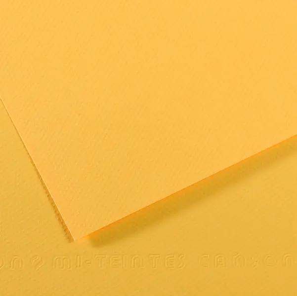 25x Foglio MI-TEINTES A4 cm 160 gr. 400 botton d'oro