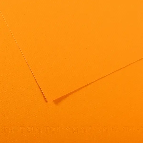 25x Foglio MI-TEINTES A4 cm 160 gr. 553 giallo sole