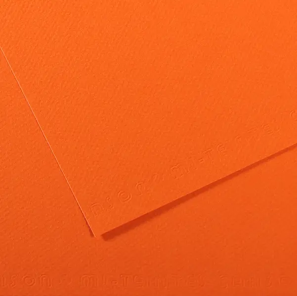 25x Foglio MI-TEINTES A4 cm 160 gr. 453 arancione