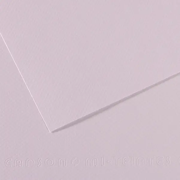 25x Foglio MI-TEINTES A4 cm 160 gr. 104 lilla