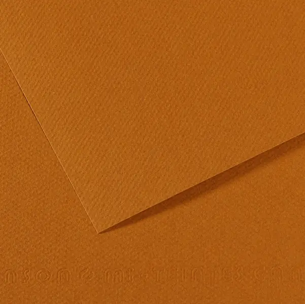 25x Foglio MI-TEINTES A4 cm 160 gr. 502 avana chiaro