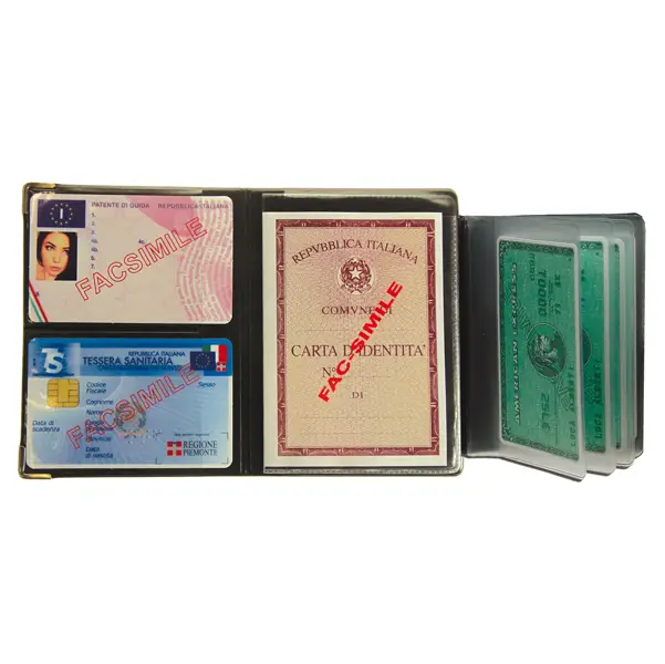 1x Display 24 Portadocumenti Multicard special colori assortiti 1060S Alplast