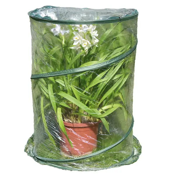 1x Serra Pop-up Anthurium 70x100cm verde/trasparente Verdemax